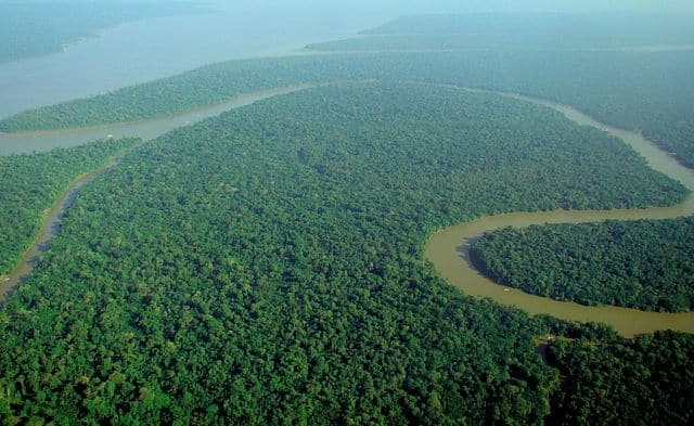 Amazon River - longest rivers in the world