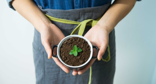 Using coffee grounds as an alternative